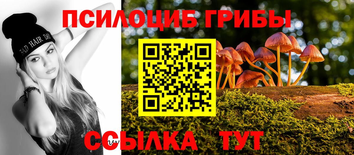 Галлюциногенные грибы Psilocybine cubensis Кушва