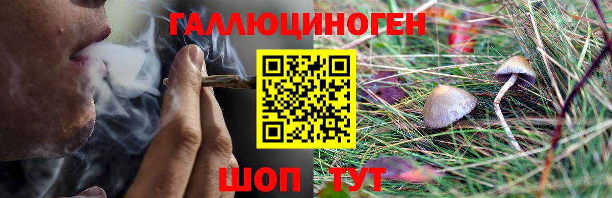 Галлюциногенные грибы мицелий  Вход с VPN  Кушва 