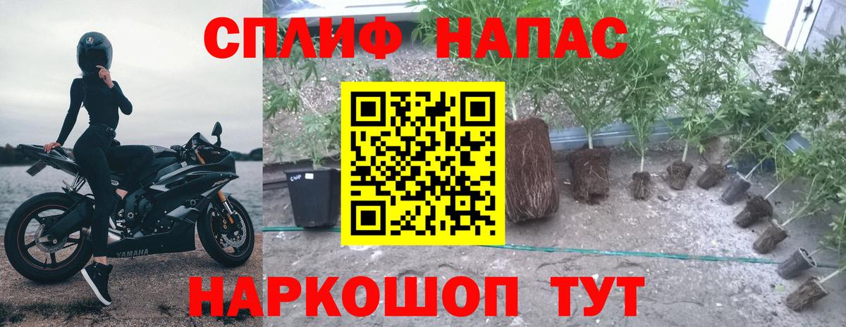 Шишки марихуана индика  Бошки Шишки семена  Вход с VPN  Кушва 